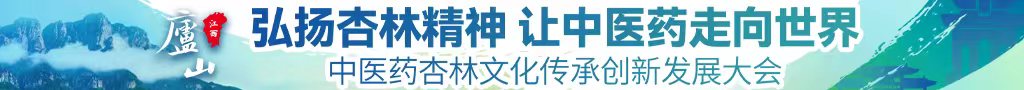 鸡吧操骚逼操到红中医药杏林文化传承创新发展大会